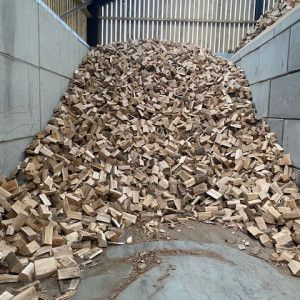 Mixed Hardwood Heap